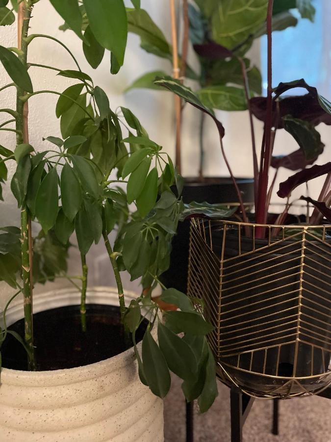 Flora House Denveri nemzetközi repülőtér Kültér fotó