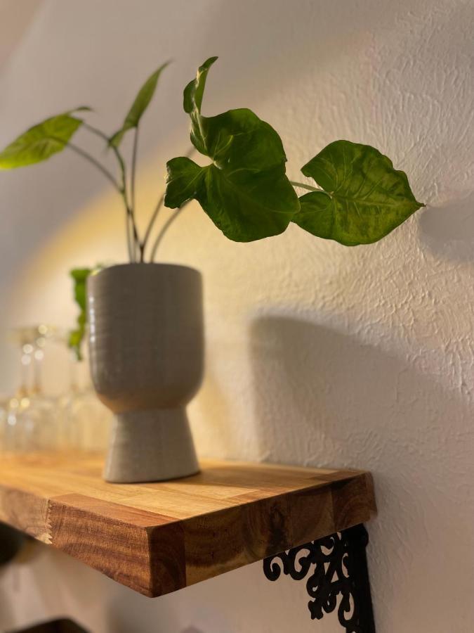 Flora House Denveri nemzetközi repülőtér Kültér fotó